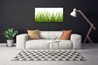 Canvas Wall art Grass nature green