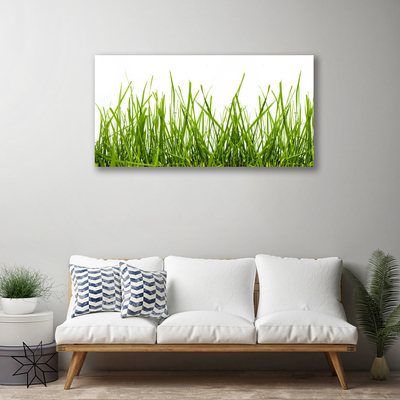 Canvas Wall art Grass nature green