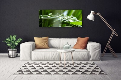 Canvas Wall art Grass dew drops floral green