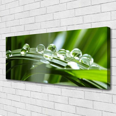 Canvas Wall art Grass dew drops floral green