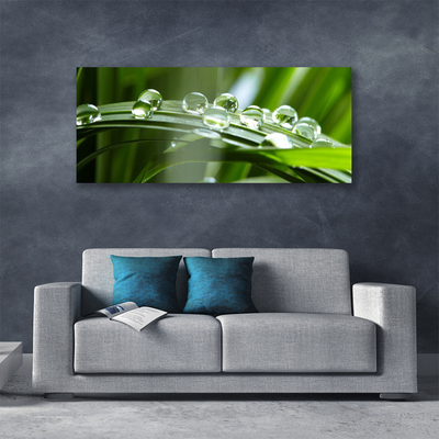 Canvas Wall art Grass dew drops floral green