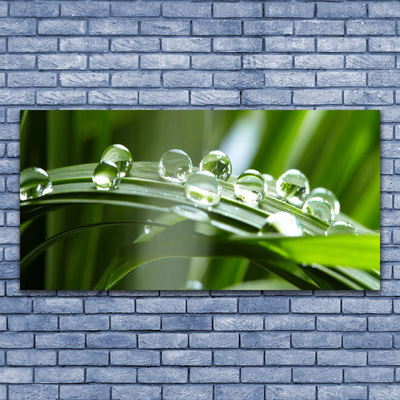 Canvas Wall art Grass dew drops floral green