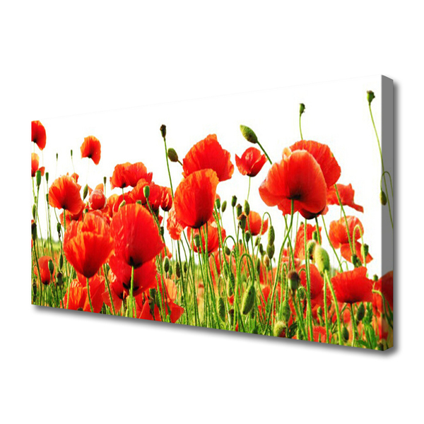 Canvas Wall art Poppies nature red green