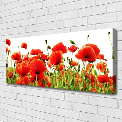 Canvas Wall art Poppies nature red green