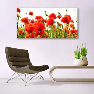 Canvas Wall art Poppies nature red green