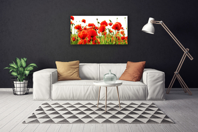 Canvas Wall art Poppies nature red green