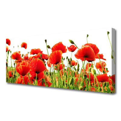 Canvas Wall art Poppies nature red green