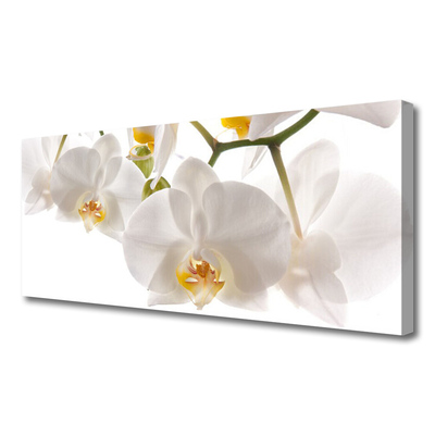 Canvas Wall art Flowers floral white