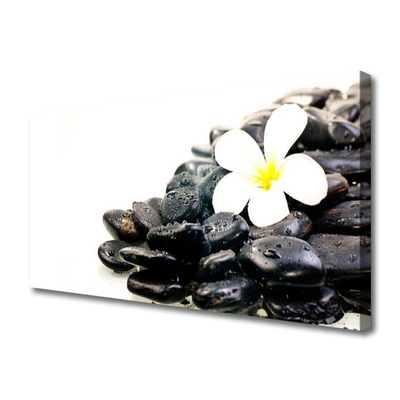 Canvas Wall art Flower stones art white black