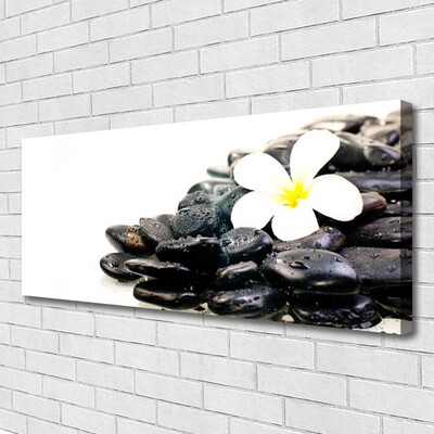 Canvas Wall art Flower stones art white black