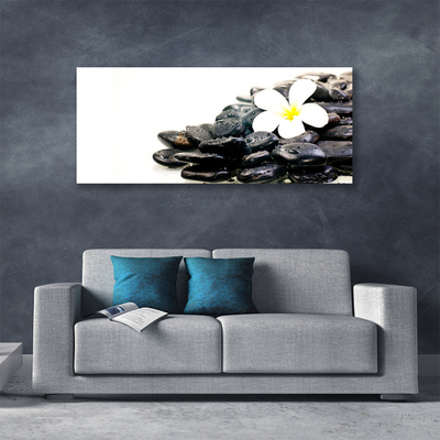 Canvas Wall art Flower stones art white black