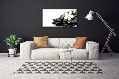 Canvas Wall art Flower stones art white black