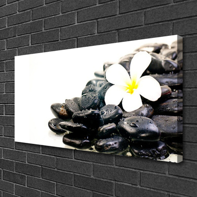 Canvas Wall art Flower stones art white black