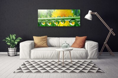 Canvas Wall art Stem dew drops floral green