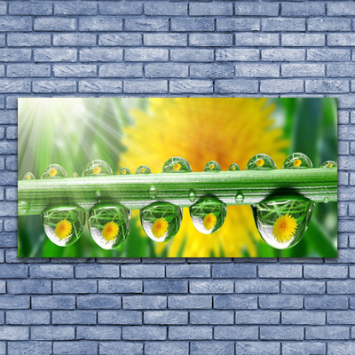 Canvas Wall art Stem dew drops floral green