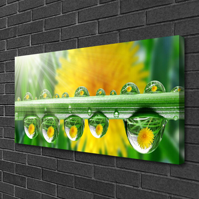 Canvas Wall art Stem dew drops floral green