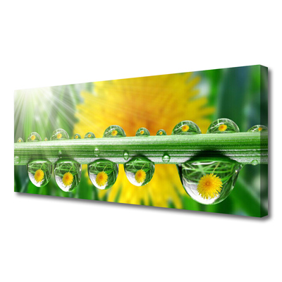 Canvas Wall art Stem dew drops floral green