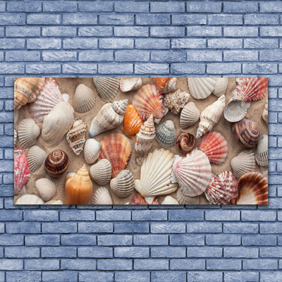 Canvas Wall art Shellfish art white grey brown beige