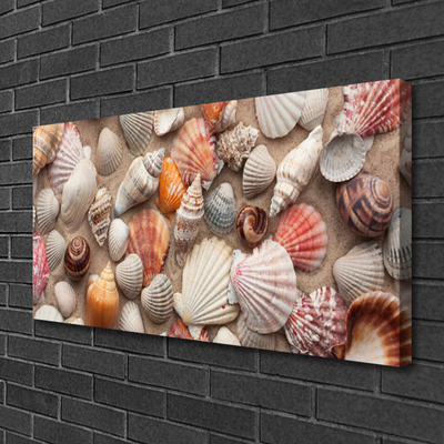 Canvas Wall art Shellfish art white grey brown beige