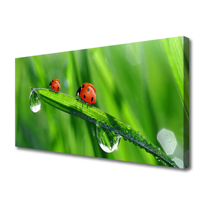 Canvas Wall art Ladybird beetle floral green red black