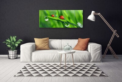 Canvas Wall art Ladybird beetle floral green red black