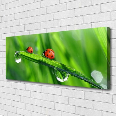 Canvas Wall art Ladybird beetle floral green red black