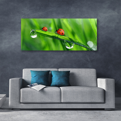 Canvas Wall art Ladybird beetle floral green red black