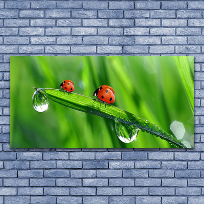 Canvas Wall art Ladybird beetle floral green red black