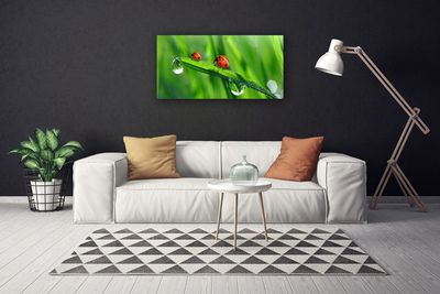 Canvas Wall art Ladybird beetle floral green red black