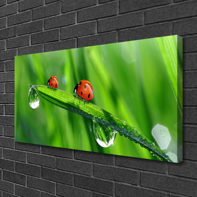 Canvas Wall art Ladybird beetle floral green red black