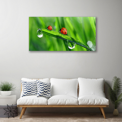 Canvas Wall art Ladybird beetle floral green red black