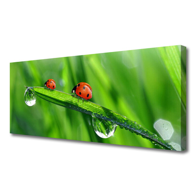 Canvas Wall art Ladybird beetle floral green red black