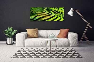 Canvas Wall art Forest nature green