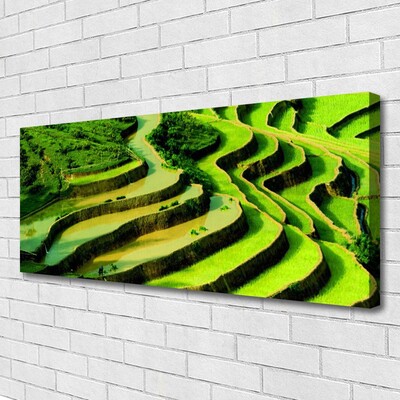 Canvas Wall art Forest nature green