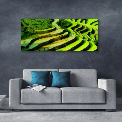 Canvas Wall art Forest nature green