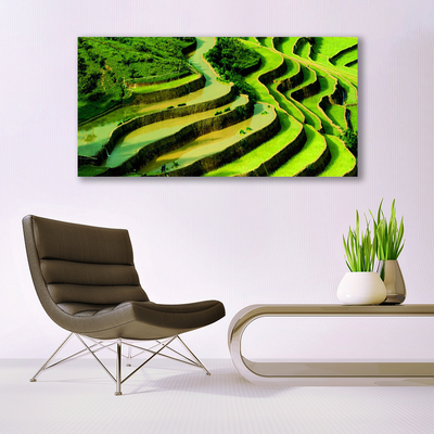 Canvas Wall art Forest nature green