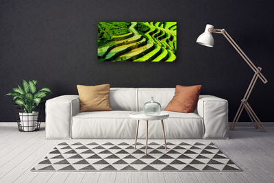 Canvas Wall art Forest nature green