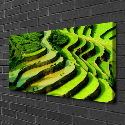 Canvas Wall art Forest nature green