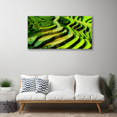 Canvas Wall art Forest nature green