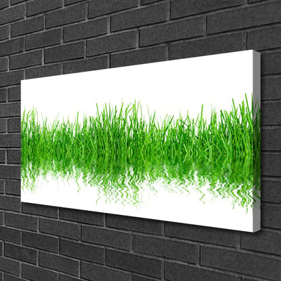 Canvas Wall art Grass nature green