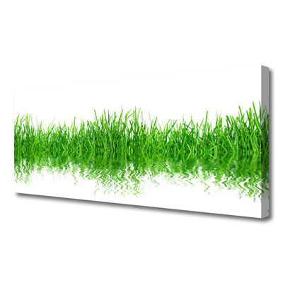 Canvas Wall art Grass nature green