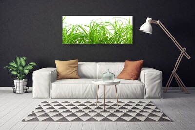 Canvas Wall art Grass nature green