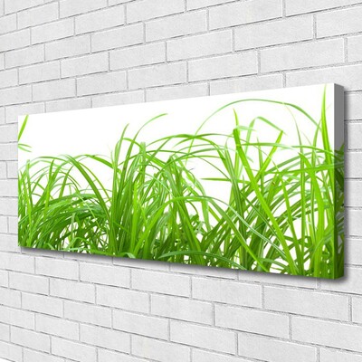 Canvas Wall art Grass nature green