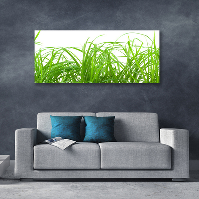 Canvas Wall art Grass nature green