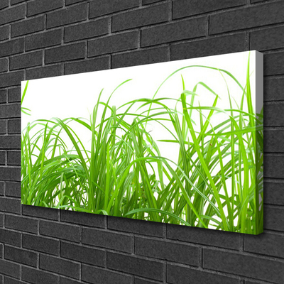 Canvas Wall art Grass nature green