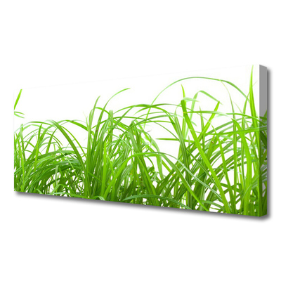 Canvas Wall art Grass nature green