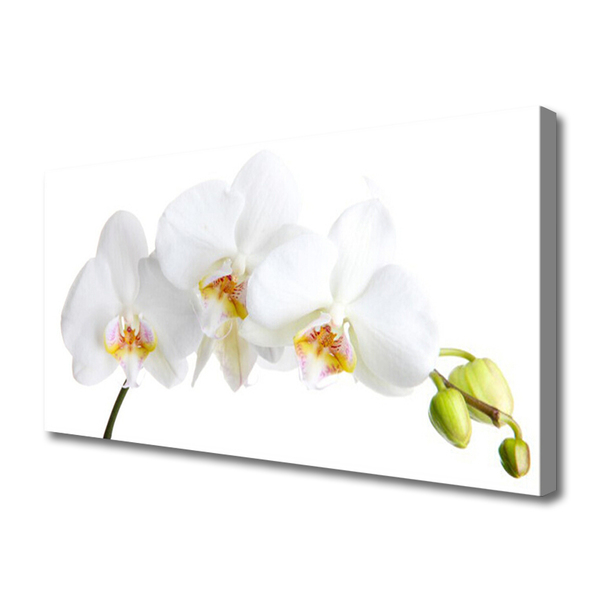 Canvas Wall art Flowers floral white