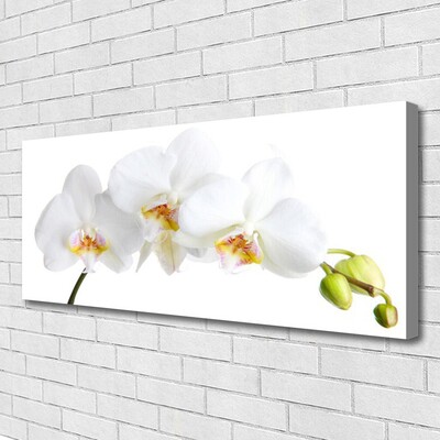 Canvas Wall art Flowers floral white