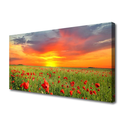 Canvas Wall art Poppies sun nature red green yellow grey