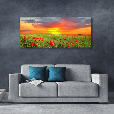 Canvas Wall art Poppies sun nature red green yellow grey